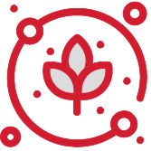 Logo for 2006 event